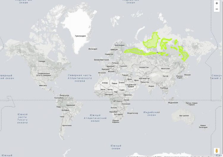 Как обычные карты искажают реальные размеры стран мира