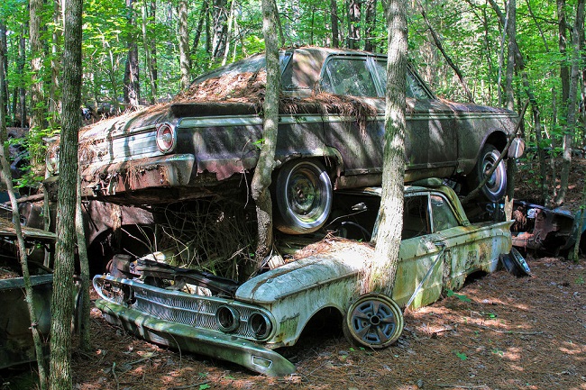 Удивительное кладбище старых американских автомобилей, 20 фото