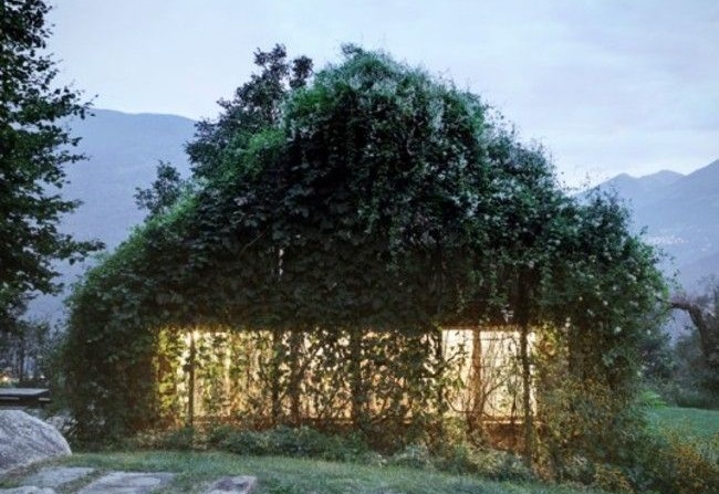 Архитектурный камуфляж или самые интересные в мире дома-невидимки, 20 фото