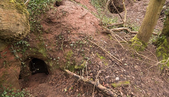 Неприметная кроличья нора оказалась входом в пещеру тамплиеров