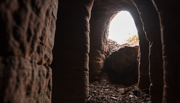 Неприметная кроличья нора оказалась входом в пещеру тамплиеров