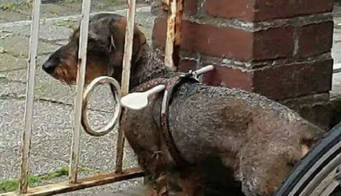 Будущее наступило, но мы от него ждали другого, 21 фото