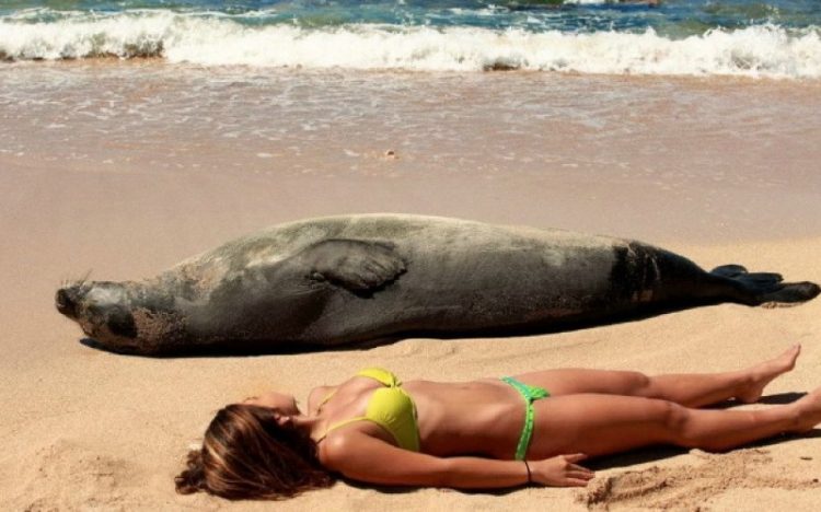 The Most Hilarious Beach Photos