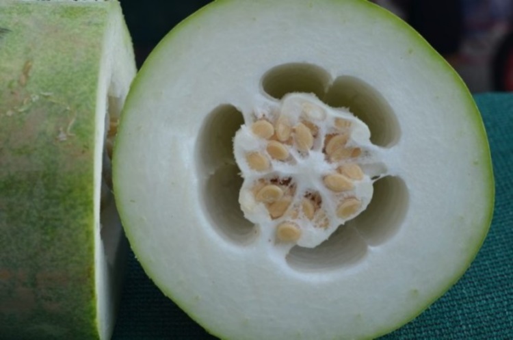 Экзотические продукты, которые приобрели популярность среди гурманов, 30 фото