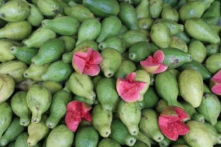 Экзотические продукты, которые приобрели популярность среди гурманов, 30 фото