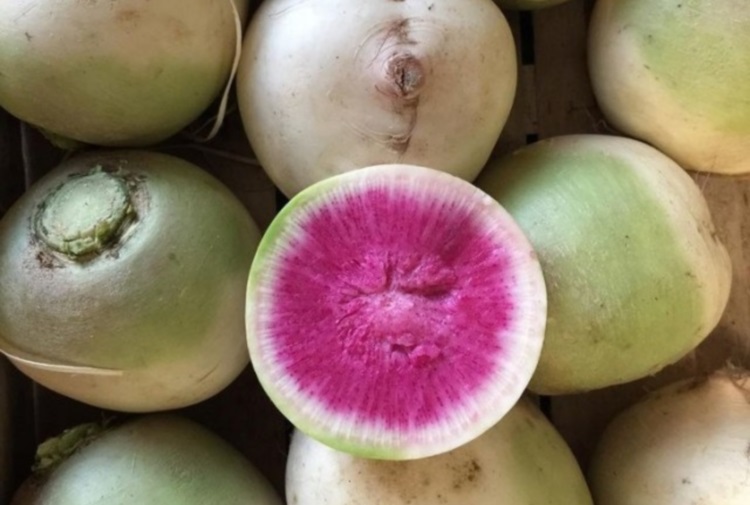 Экзотические продукты, которые приобрели популярность среди гурманов, 30 фото