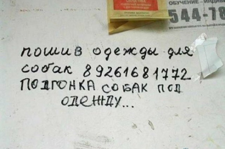 Мастера маркетинга: 50 самых веселых рекламных вывесок и объявлений