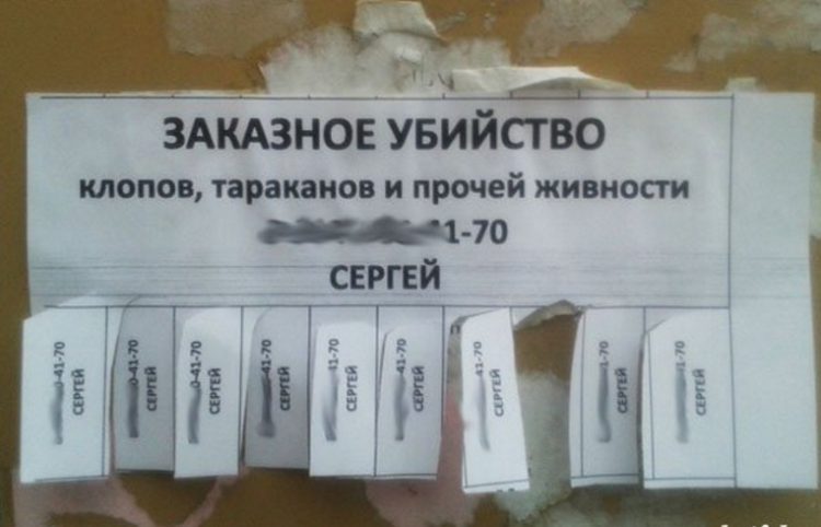 Мастера маркетинга: 50 самых веселых рекламных вывесок и объявлений