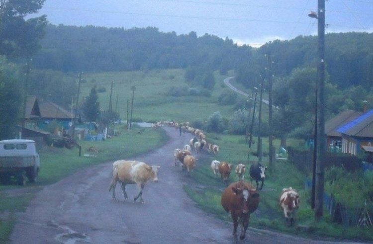 30 ностальгических фото, которые напомнят о детстве