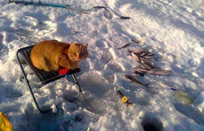 Лучшие моменты, которые удалось запечатлеть на рыбалке