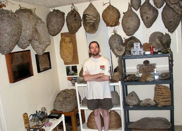 Чудные коллекции людей из разных уголков мира