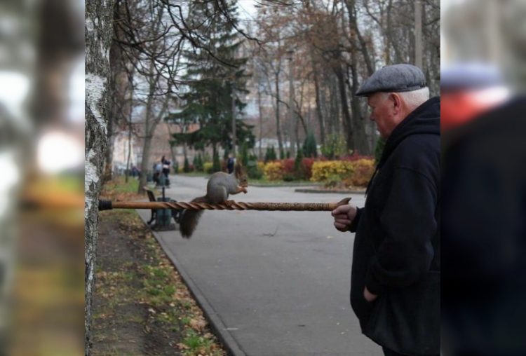 35 душевных и проникновенных снимков, которые растопят любое сердце