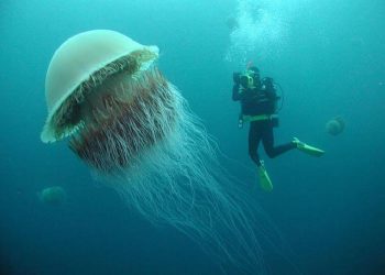 25 интересных фото из разных уголков планеты