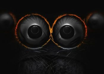 25 впечатляющих фото, сделанных с помощью микроскопа