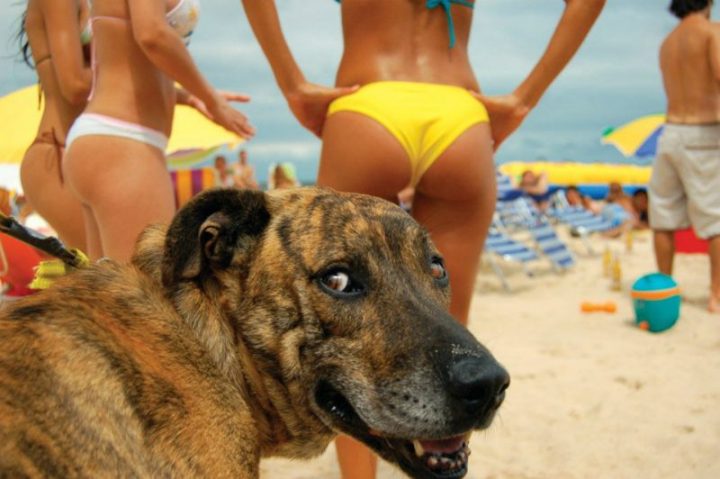 The Most Hilarious Beach Photos
