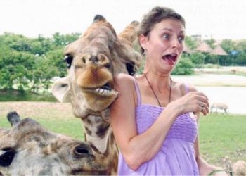 Победители по жизни