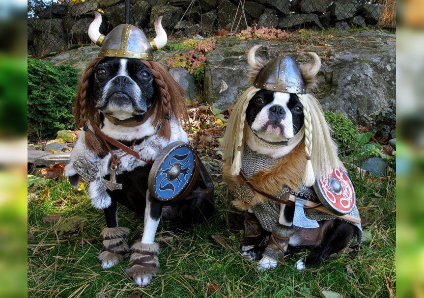 Doggie Dress-Up Delights: Laughter Unleashed in Costumes