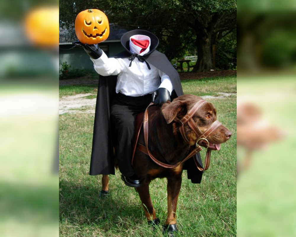 Doggie Dress-Up Delights: Laughter Unleashed in Costumes