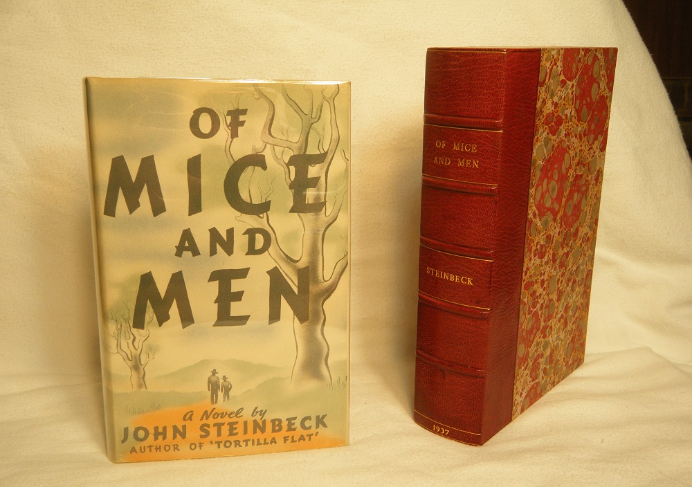 Must-Read Masterpieces: Timeless Books for Everyone