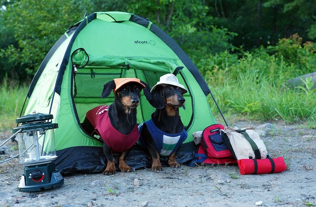 Top 30 Photos of Funny Camping Failures