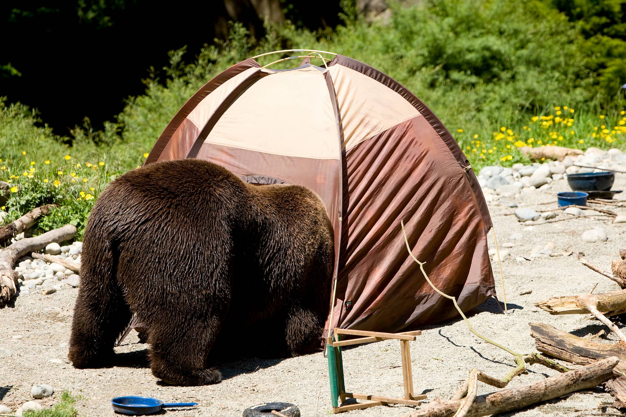 Top 30 Photos of Funny Camping Failures