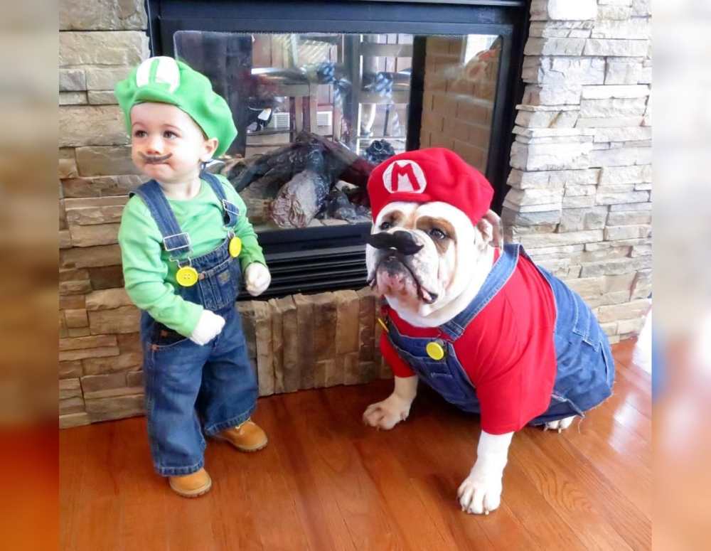 Doggie Dress-Up Delights: Laughter Unleashed in Costumes